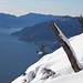 Neve, lago e Cannobio