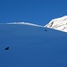seltene Beobachtung des schwarzflossigen Schneehais, links im Bild.