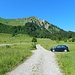 Am Abzweig zwischen Unterer und Oberer Falzalpe, an dem man sich für die Laufrichtung entscheiden muss