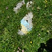 Waren die früheren Markierungen blau-gelb? Davon gabs auf dieser Route einige