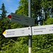 An der Oberen Falzalpe. Hier kann man auch nach links