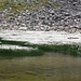 Wollgras am Ufer eines namenlosen Sees auf der Alp Märjele.