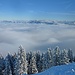 Blick über das schier unendliche Nebelmeer in die Bayerischen Voralpen.