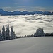 Wetterstein und Ammergauer Alpen über dem Nebel.