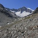 Am Beginn des Tales zum Mittelaletschgletscher bekamen wir unser Ziel, das Aletschhorn (4193m), erstmals zu sehen.