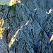 Einer der drei Berner Oberländer auf dem Grat - im Zoom gut zu erkennen
