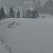 Blick retour auf die ersten Wiesenhänge
