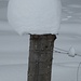 Ja hier ist Schnee!!!!