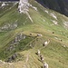 Passo di Gana Negra Inferiore (2401 m). <br />[http://www.youtube.com/watch?v=INvponv5ZOE  Impressioni sonore.]