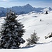<b>Neve fresca sull'Heinzenberg.</b>