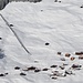 <b>Tenna, nella Safiental, con lo skilift solare. <br />Si tratta di un impianto che si avvale di 330 m di pannelli fotovoltaici, in grado di produrre 90'000 kWh di energia all’anno. </b>