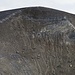 Gegenüber des Kraters die höchste Stelle, mit dem gut sichtbaren Abstiegsweg.