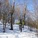 Monte Alpe Ovest