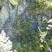 Steiler Fels im Rob Roy Valley