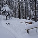 ... zum Picknickplatz auf der Höchi Flue - heute reichlich mit Schnee eingedeckt ...