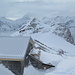 Schreckhorn und Finsteraarhorn mit Hauben