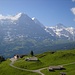 Die Bussalp auf 1800m. Blick auf Eiger, Mönch und Jungfrau.