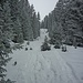 Die Mulde, die hinauf zur Simetsberg-Diensthütte leitet.