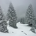 Wieder im Abstieg. Gleich ist die Simetsberg-Diensthütte wieder erreicht.