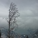 Dramatische Stimmung über dem Walchensee.