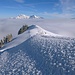 Hochplateau Alp Gulmen: Die Biese hat unsere Aufstiegsspuren mit feinen Schneeskulpturen überdeckt