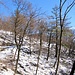 Salendo al MOnte Orsa.