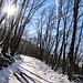La strada asfaltata è completamente innevata.