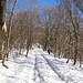 Verso il Monte Pravello.