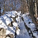 Camminamenti del Monte Pravello.