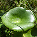 Wasserspeicher