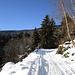 in salita nel primo tratto già ben al sole