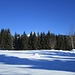 in prossimità dell'Alpe Paù