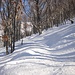 Verso il  Monte Gambarogno e qui la pendenza aumenta e la fatica a tracciare pure...