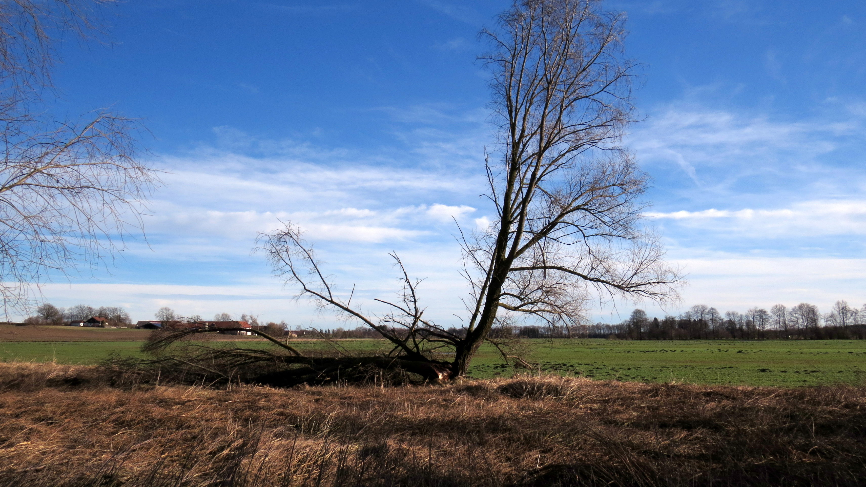 Hier hat der heutige Sturm gewütet Auf der freien...