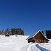 ab hier, auf Schür, mit den Schneeschuhen unterwegs - in lieblichem Gelände