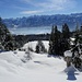 ... sowie der Ausblick in die Zentralschweizer Bergwelt