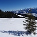 (hier) idyllischer Aufstieg und Ausblick ...