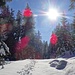 Wintertraum 1