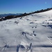 Dietro la neve spunta la sagoma piramidale del Monte Alfeo