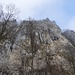 beim Parkplatz Burgruine Balmfluh - mit den Nistplätzen der Dohlen (corvus monedula), noch leicht "nebelgeschwängert"