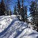 attraktive Gratwanderung ...