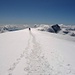 der flache Gipfel des Alphubel 4206m