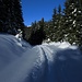 Schöner Weg im funkelnden Schnee / Bella traccia nella neve luccicante