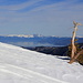 On the ridge: view to Lake Tahoe