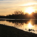 Sunset at the American River in Fair Oaks