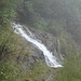 Beeindruckende Wassermengen flossen aus dem Wald auf den Weg.