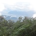 Aussicht vom Monte Todum zum Lago Maggiore.