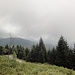 Durchwachsenes Wetter bei der Capella Fina.