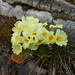 Indizi di primavera!!