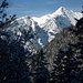 Ein Zoombild vom Weg auf die Rotmoos - Alm in diesem Winter: Links der Sunkenkopf.